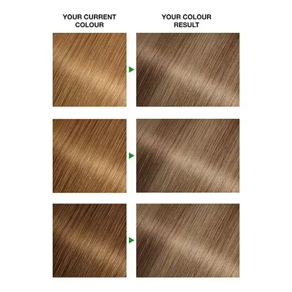 Garnier Nutrisse hair dye medium blonde 8N, UK version