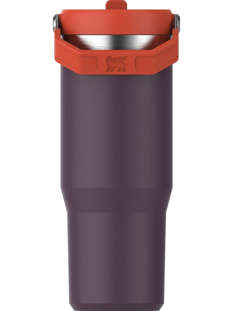 Insulated Flip Straw Tumbler Water Bottle 0.89L
