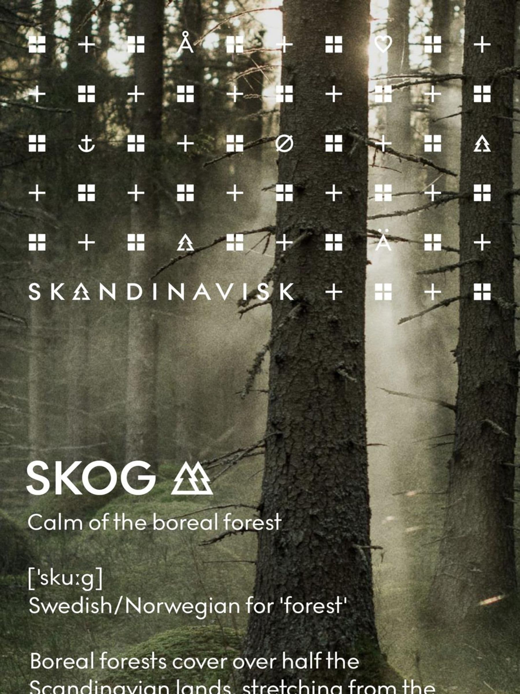 Skandinavisk Black SKOG reed diffuser refill 200ml (British brand)