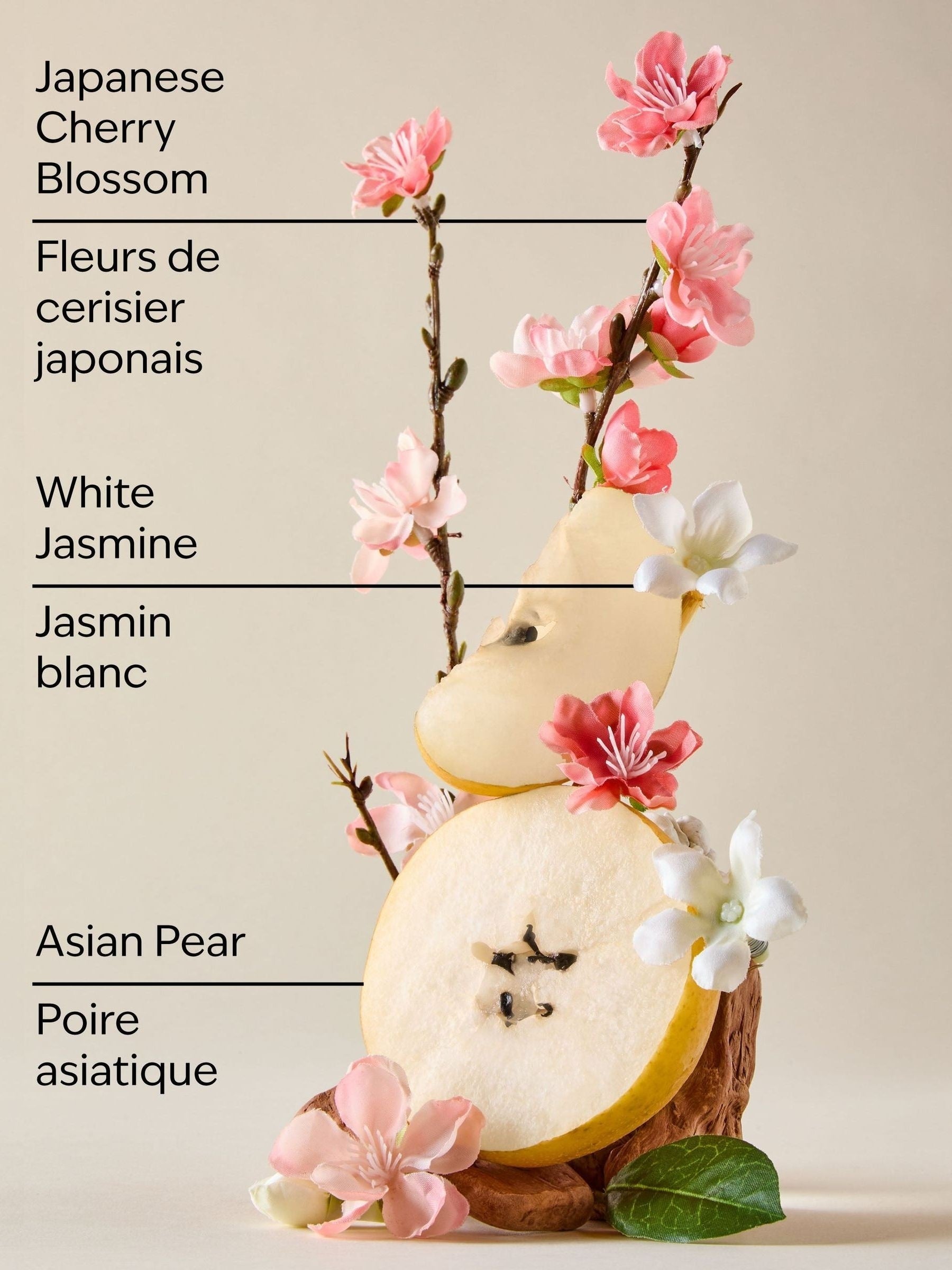 Bath & Body Works Japanese Cherry Blossom body cream 226g - British product