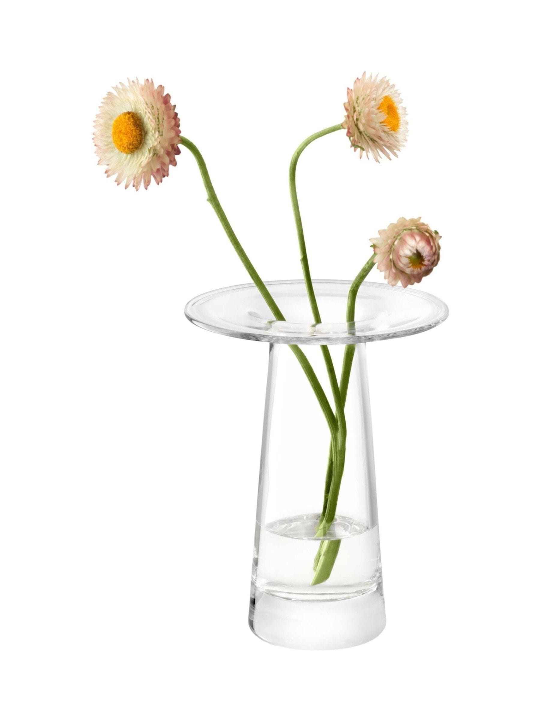 LSA International Clear Victoria Vase 15cm height, UK version