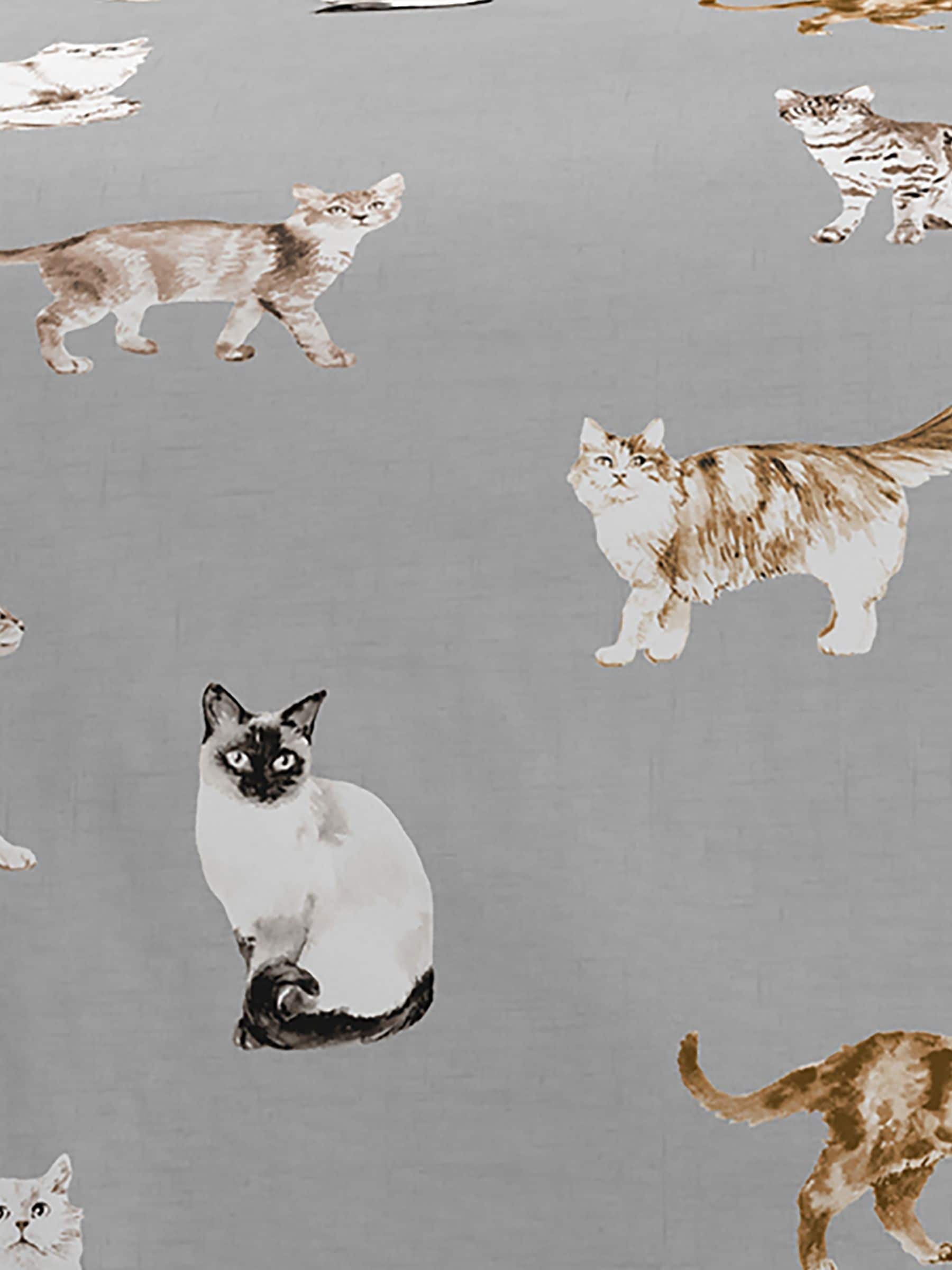 Fusion Grey Cats Easycare Duvet Cover Set