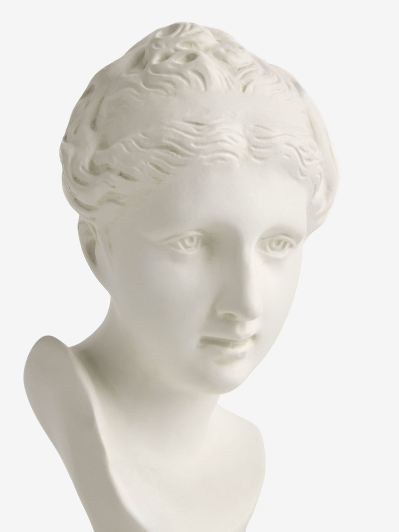 Laurence Llewelyn-Bowen ivory Grecian bust ornament 25cm height, UK version