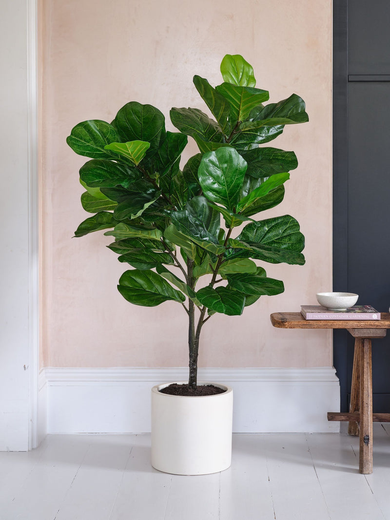 Beards & Daisies artificial fiddle leaf fig tree 120cm - British product