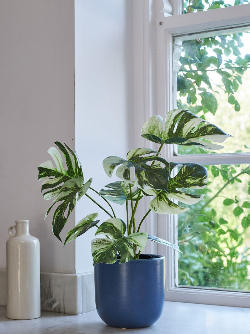 Beards & Daisies Green Artificial Variaged Monstera