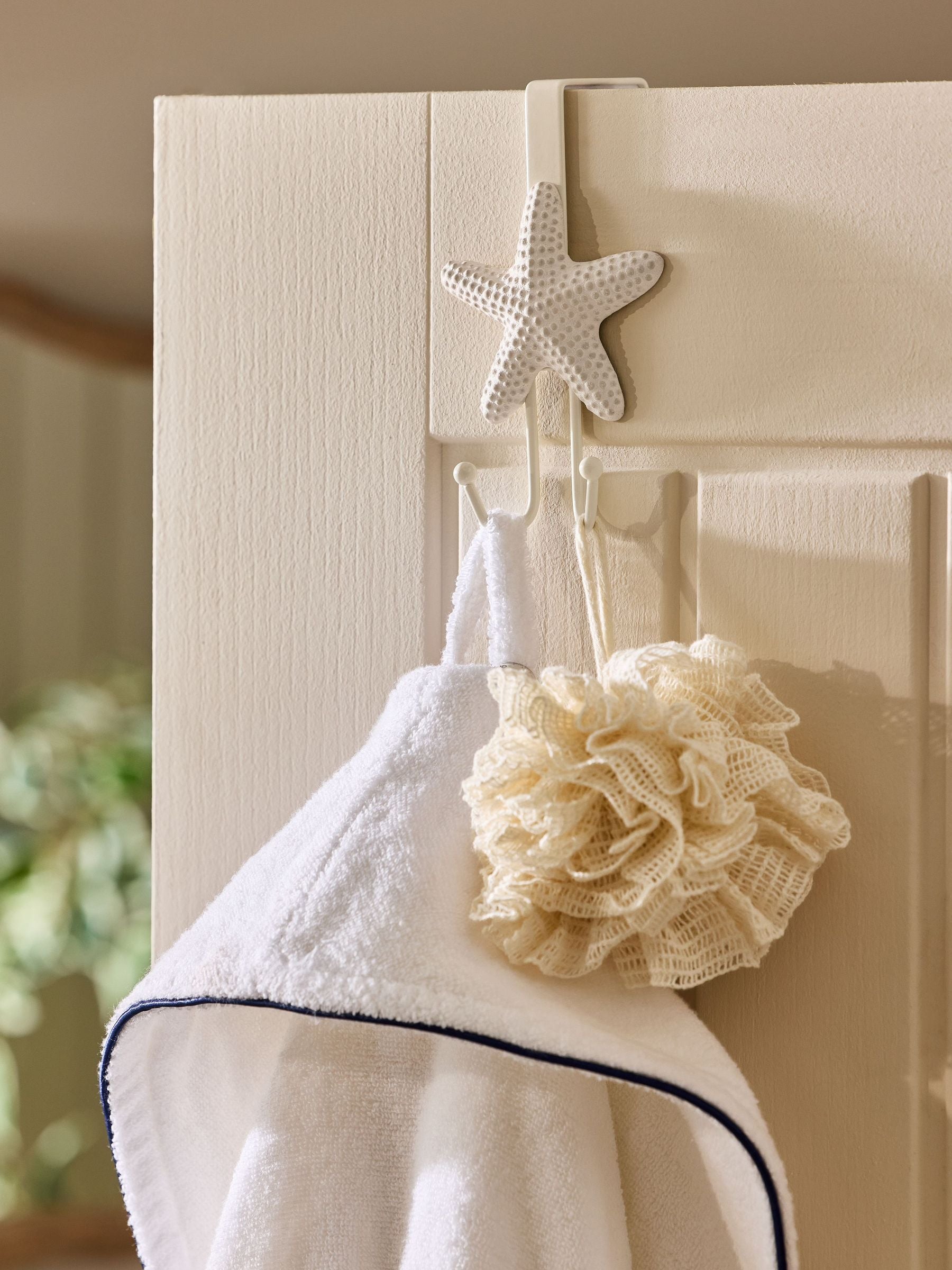 Natural starfish over door hook - British product