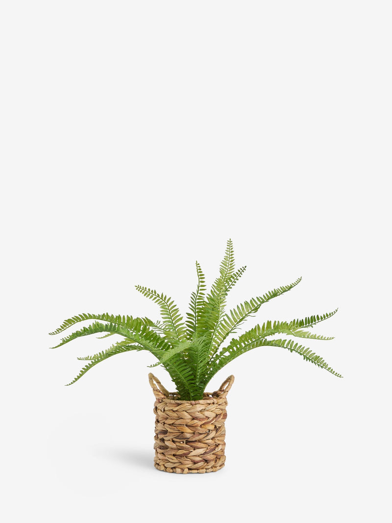 Artificial Boston fern in woven pot 64cm height, UK version