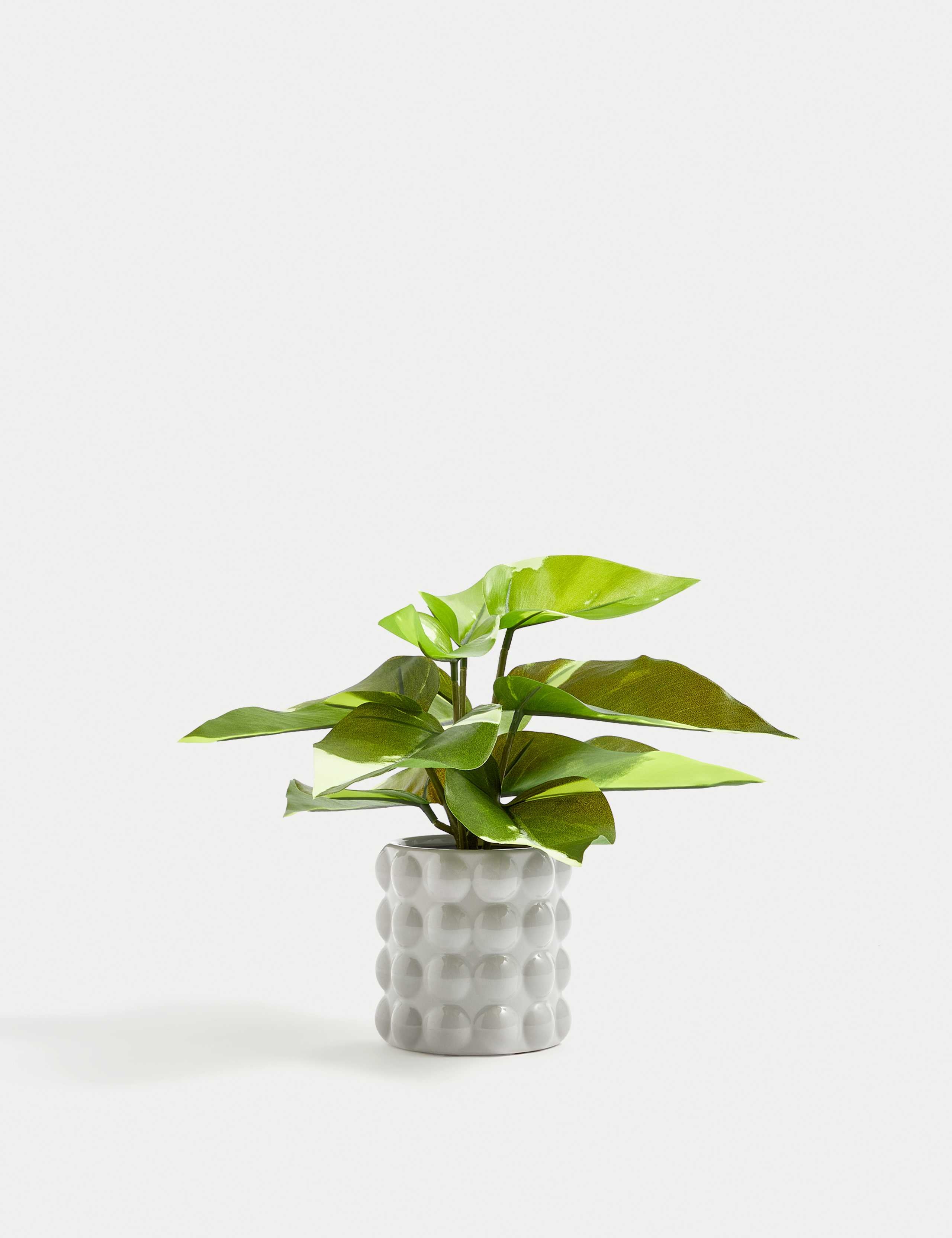 Artificial Philodendron in Ceramic Pot