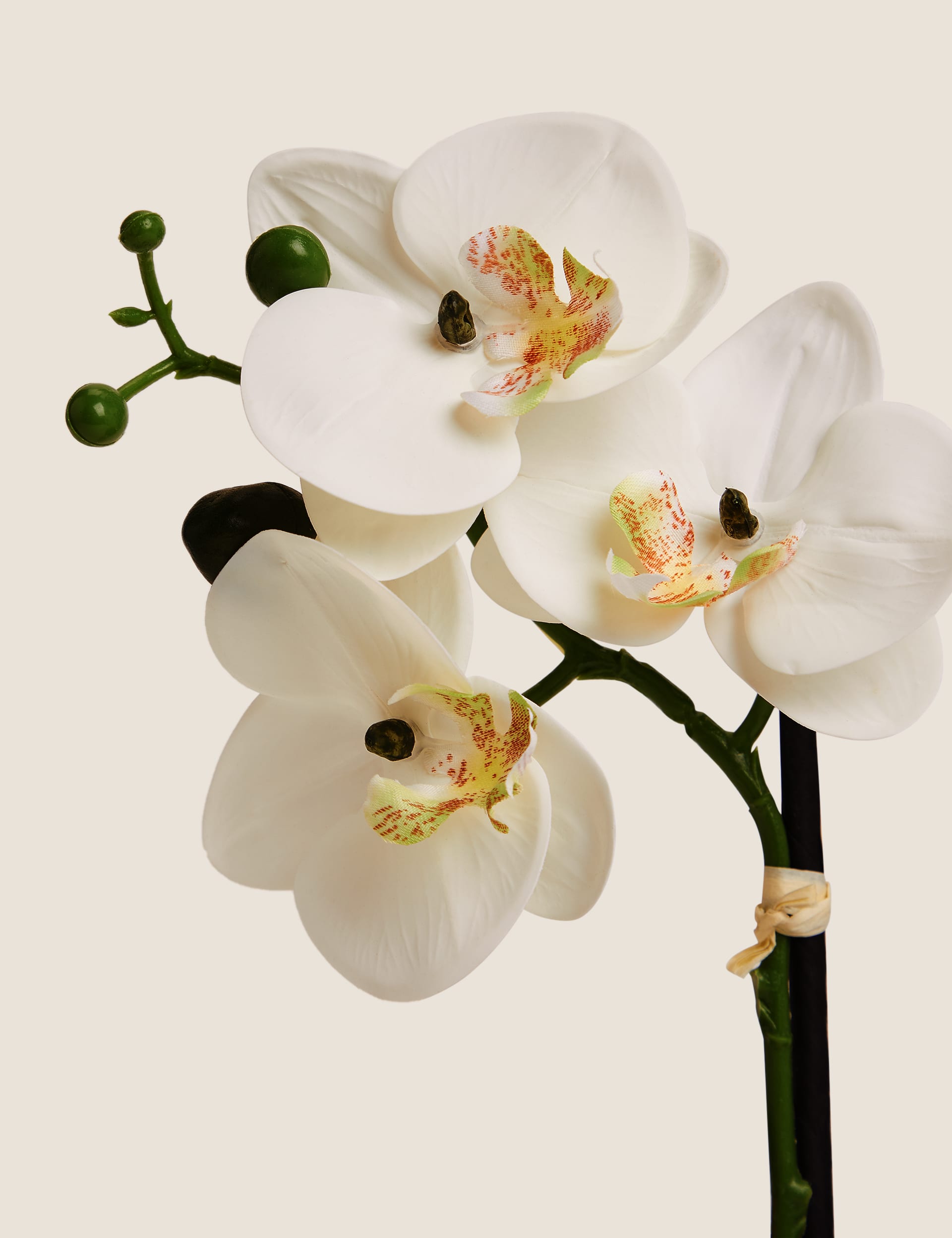 Moss & Sweetpea artificial real touch small orchid in pot - British product