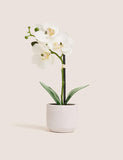 Moss & Sweetpea artificial real touch small orchid in pot - British product