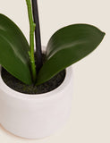 Moss & Sweetpea artificial real touch small orchid in pot - British product