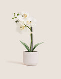 Moss & Sweetpea artificial real touch small orchid in pot - British product
