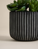 Moss & Sweetpea artificial succulents in ridged cement pot - British product