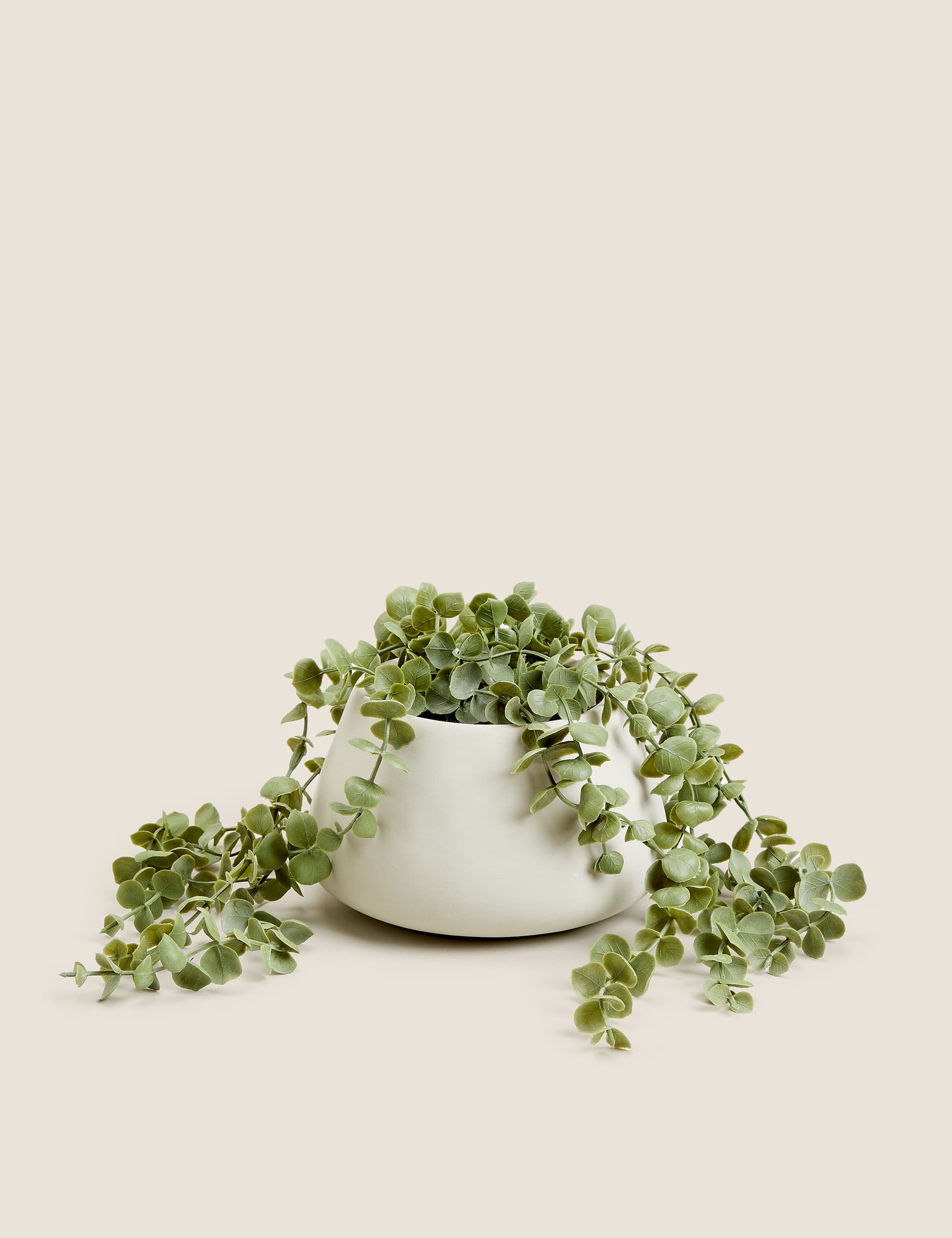 Moss & Sweetpea artificial trailing string of hearts plant 36cm - British product