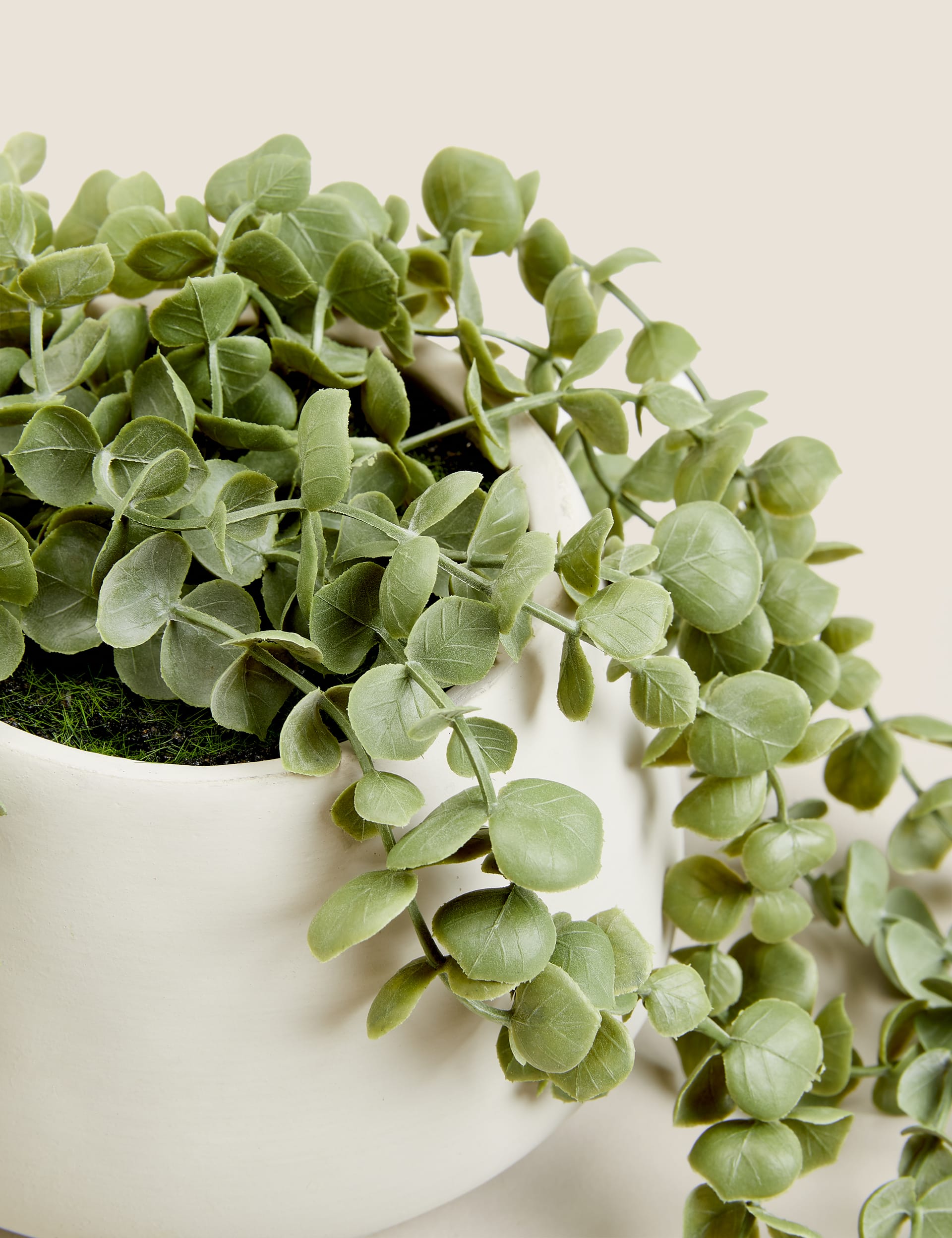 Moss & Sweetpea artificial trailing string of hearts plant 36cm - British product