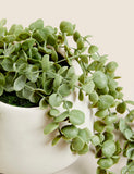 Moss & Sweetpea artificial trailing string of hearts plant 36cm - British product