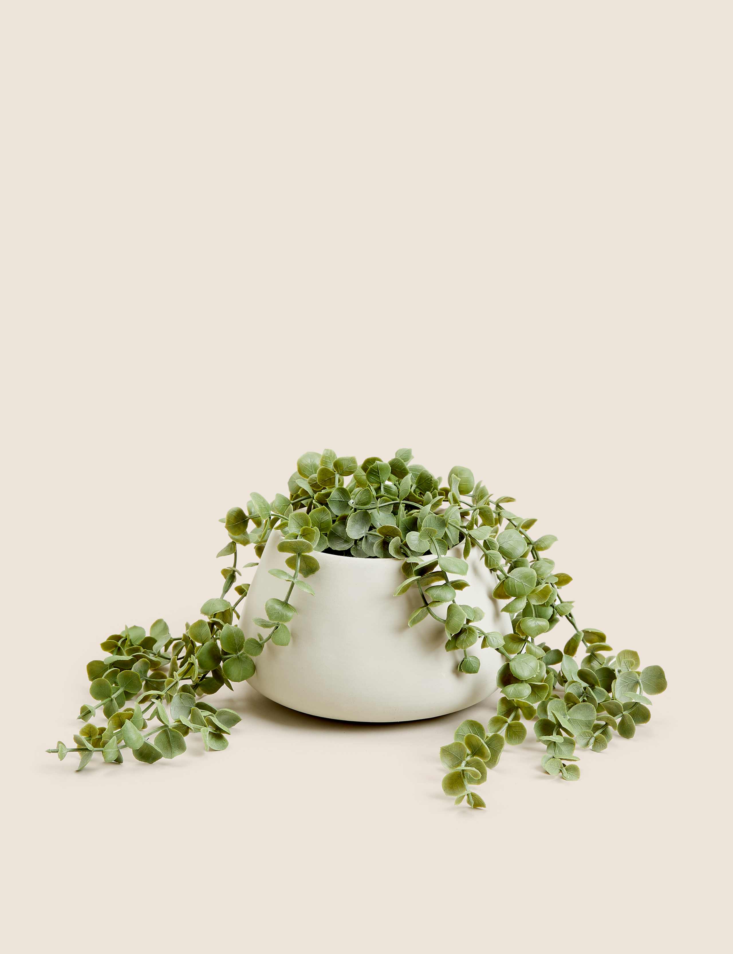 Moss & Sweetpea artificial trailing string of hearts plant 36cm - British product