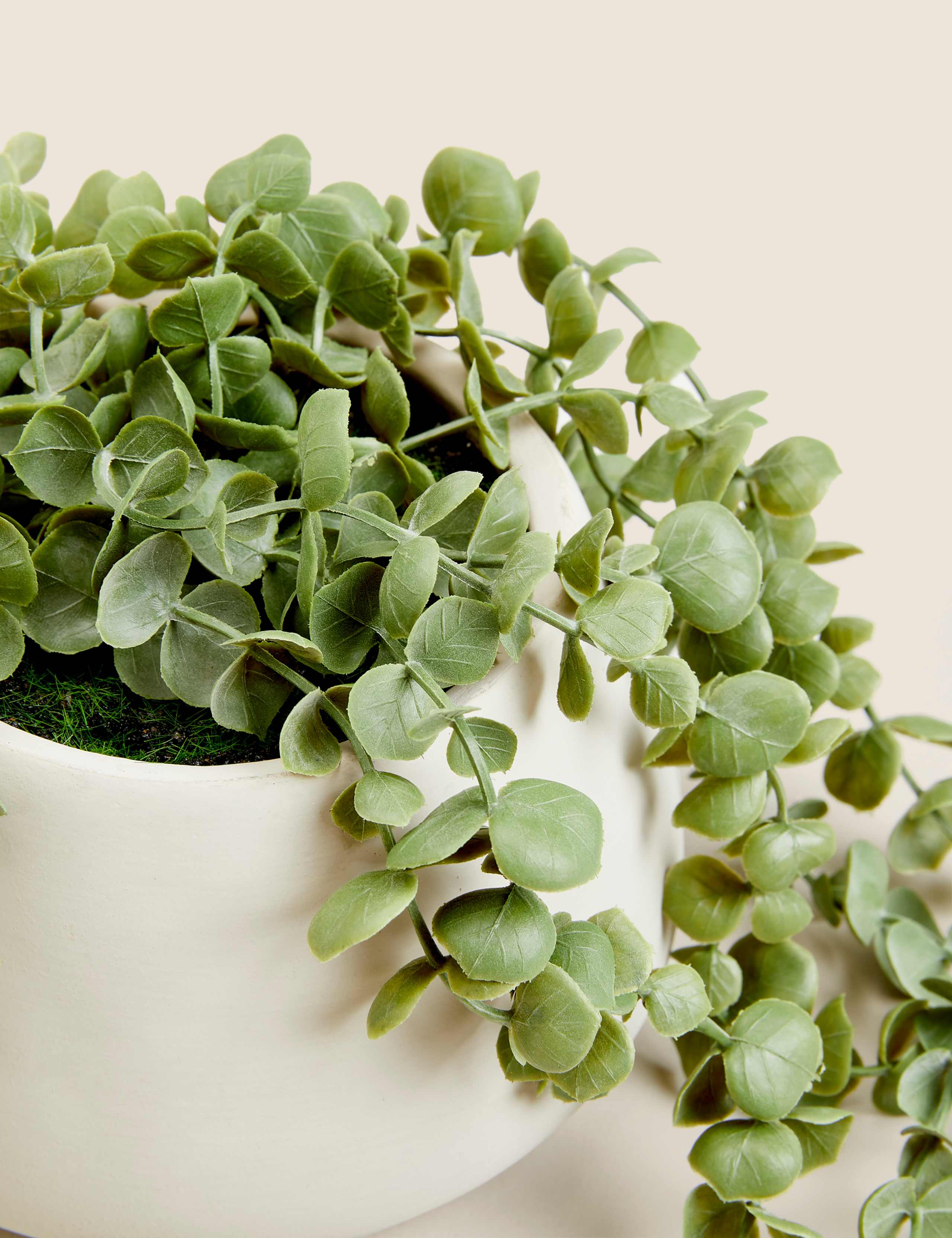 Moss & Sweetpea artificial trailing string of hearts plant 36cm - British product