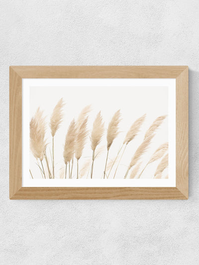 East End Prints Oak Pampas by Sisi and Seb Framed Art Print