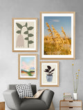 East End Prints Oak Tulip Framed Art Print - British product