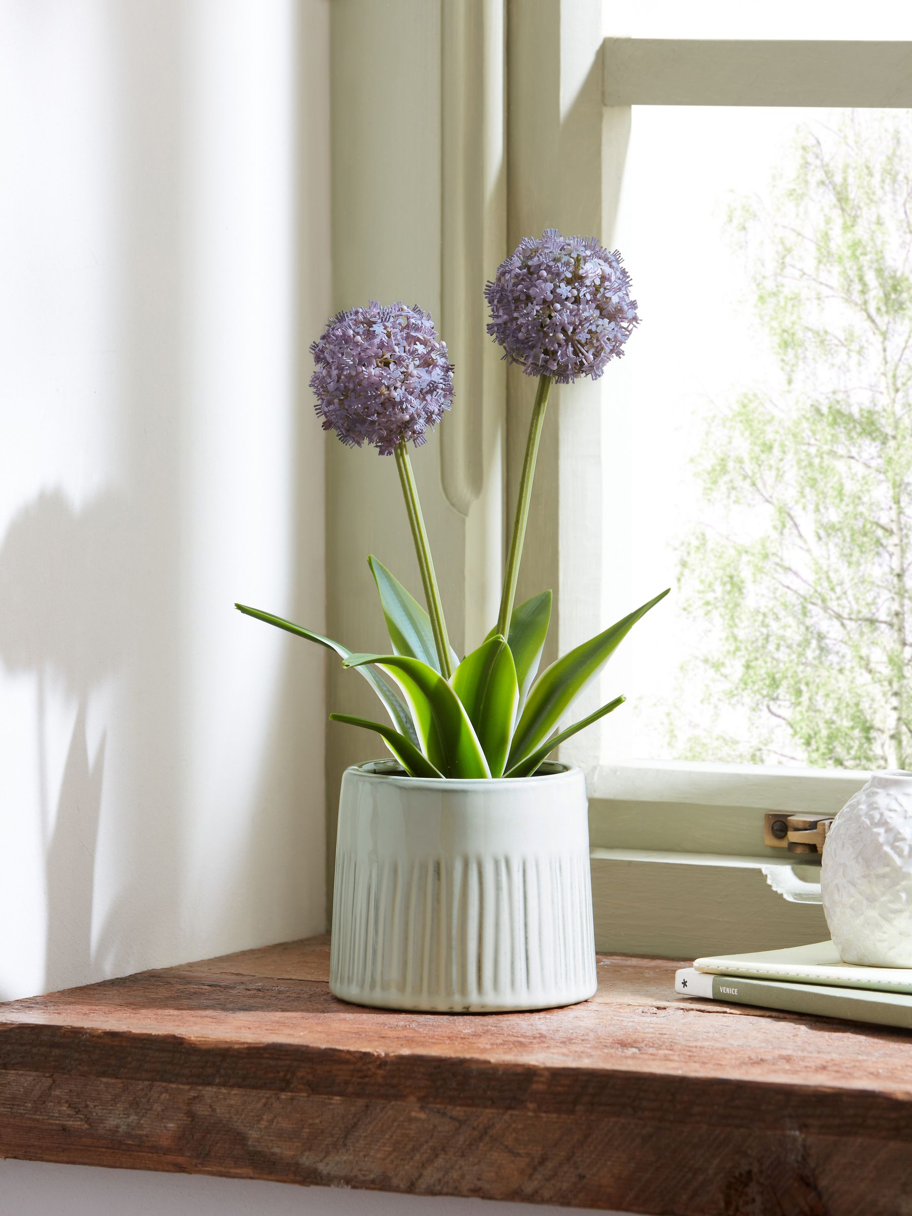 Purple artificial allium plant in ribbed ceramic pot, 29cm tall, imported from the UK