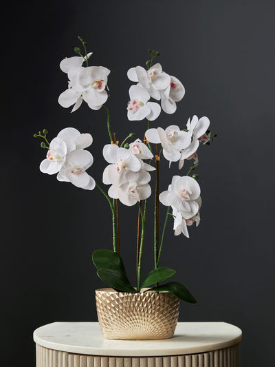 Gold/White Artificial Real Touch Orchid in Geo Pot Indoor Planter 56cm Height