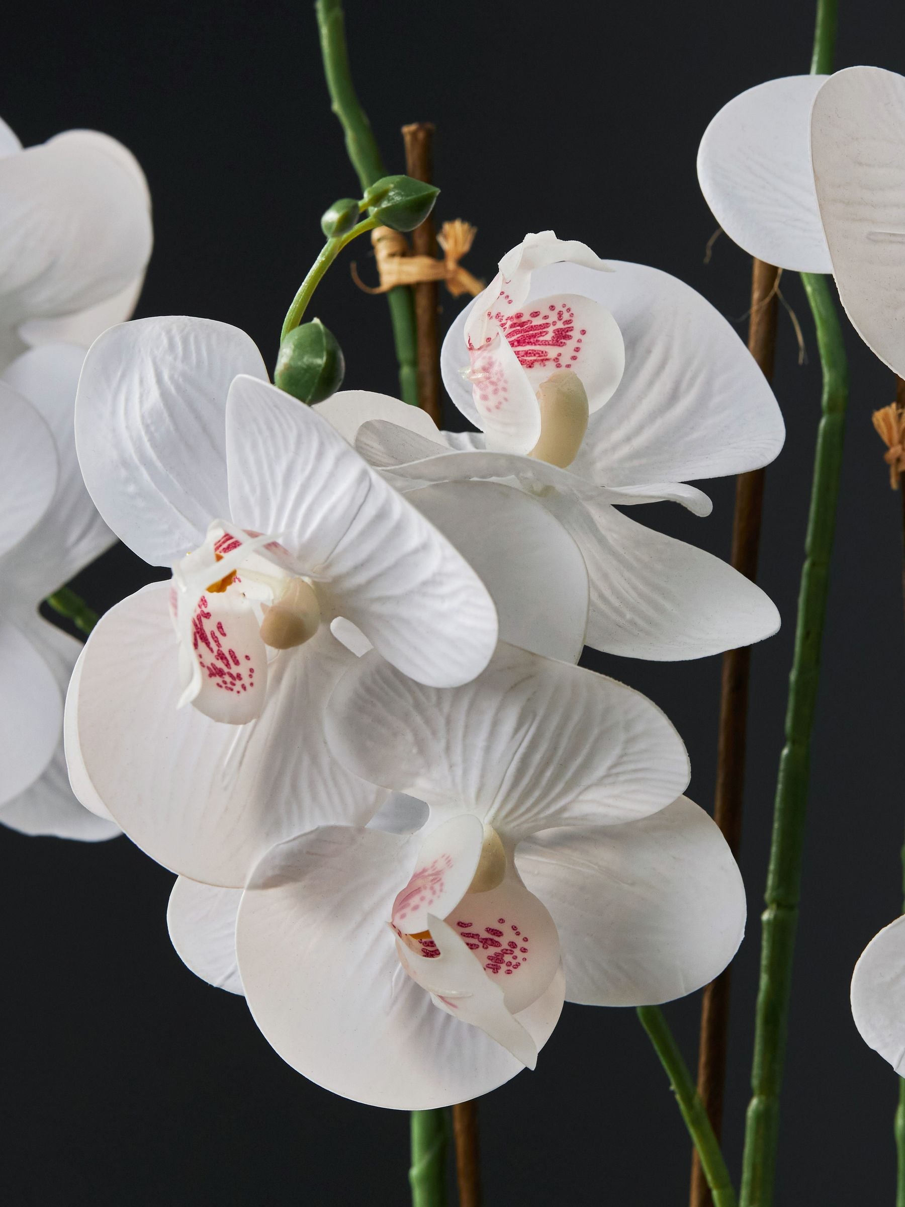 Gold/White Artificial Orchid in Geo Pot 56cm Height, UK version