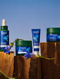 Weleda Blue Gentian & Edelweiss Contouring Day Cream 40ml - British product