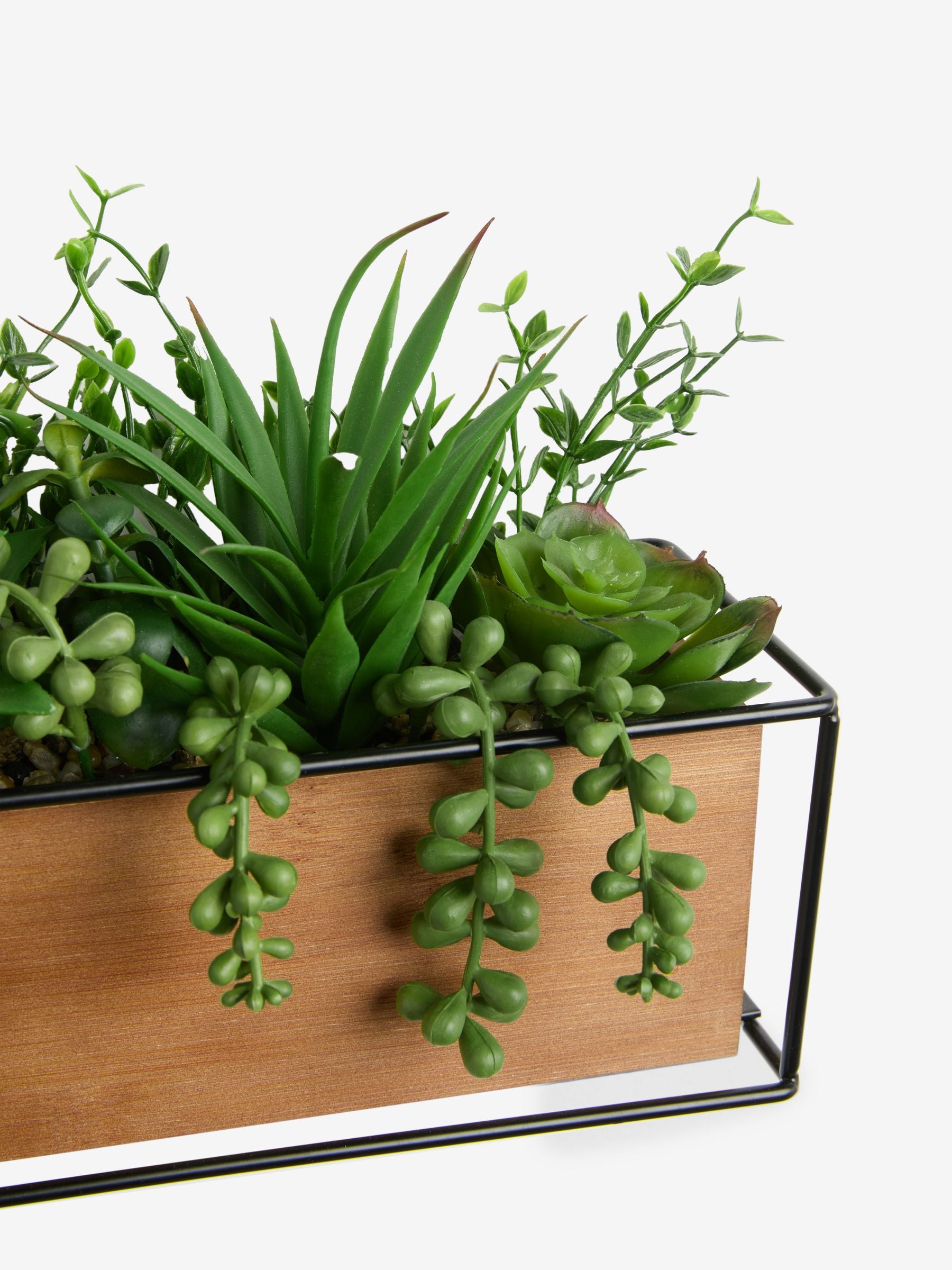 Green Artificial Succulent Garden in Bronx Wood Trough