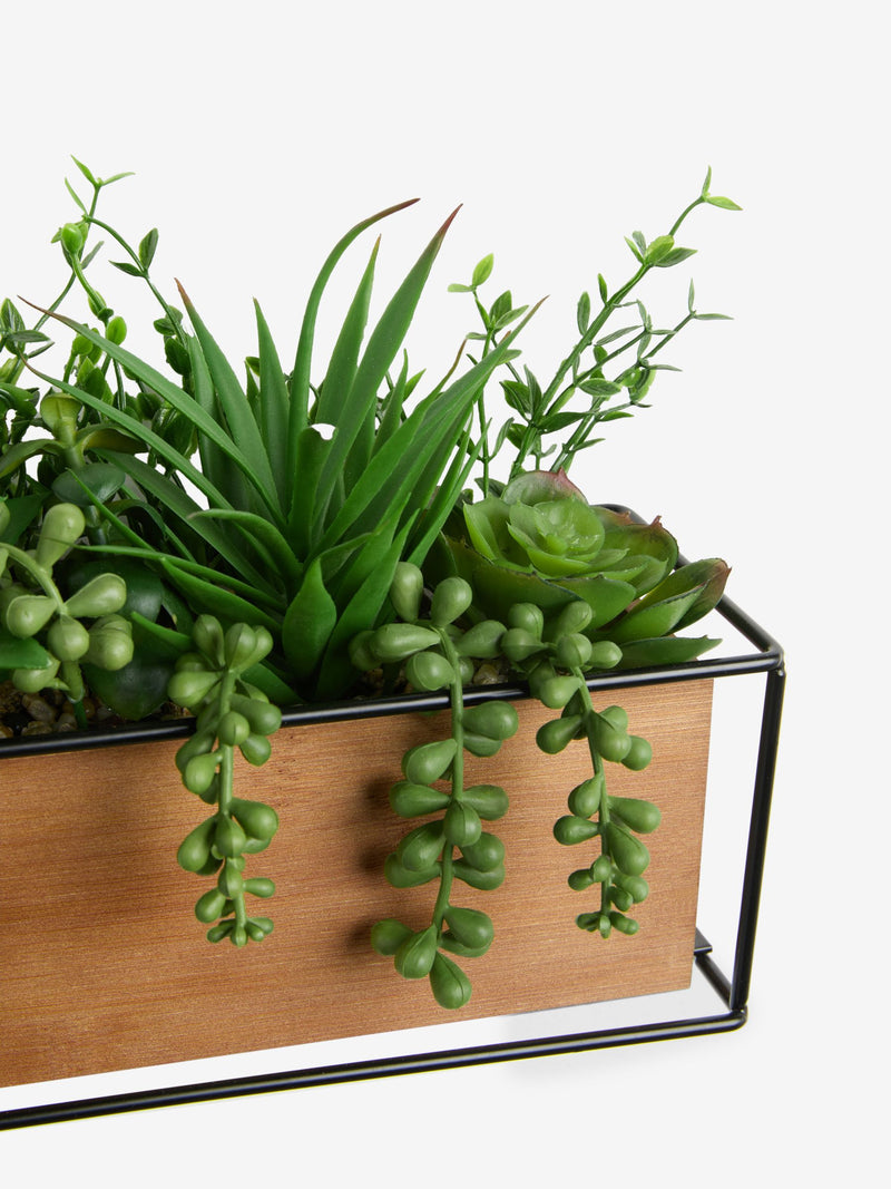 Green Artificial Succulent Garden in Bronx Wood Trough