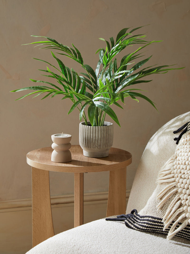 Artificial mini Kentia palm plant in ribbed concrete pot 60cm height, UK version