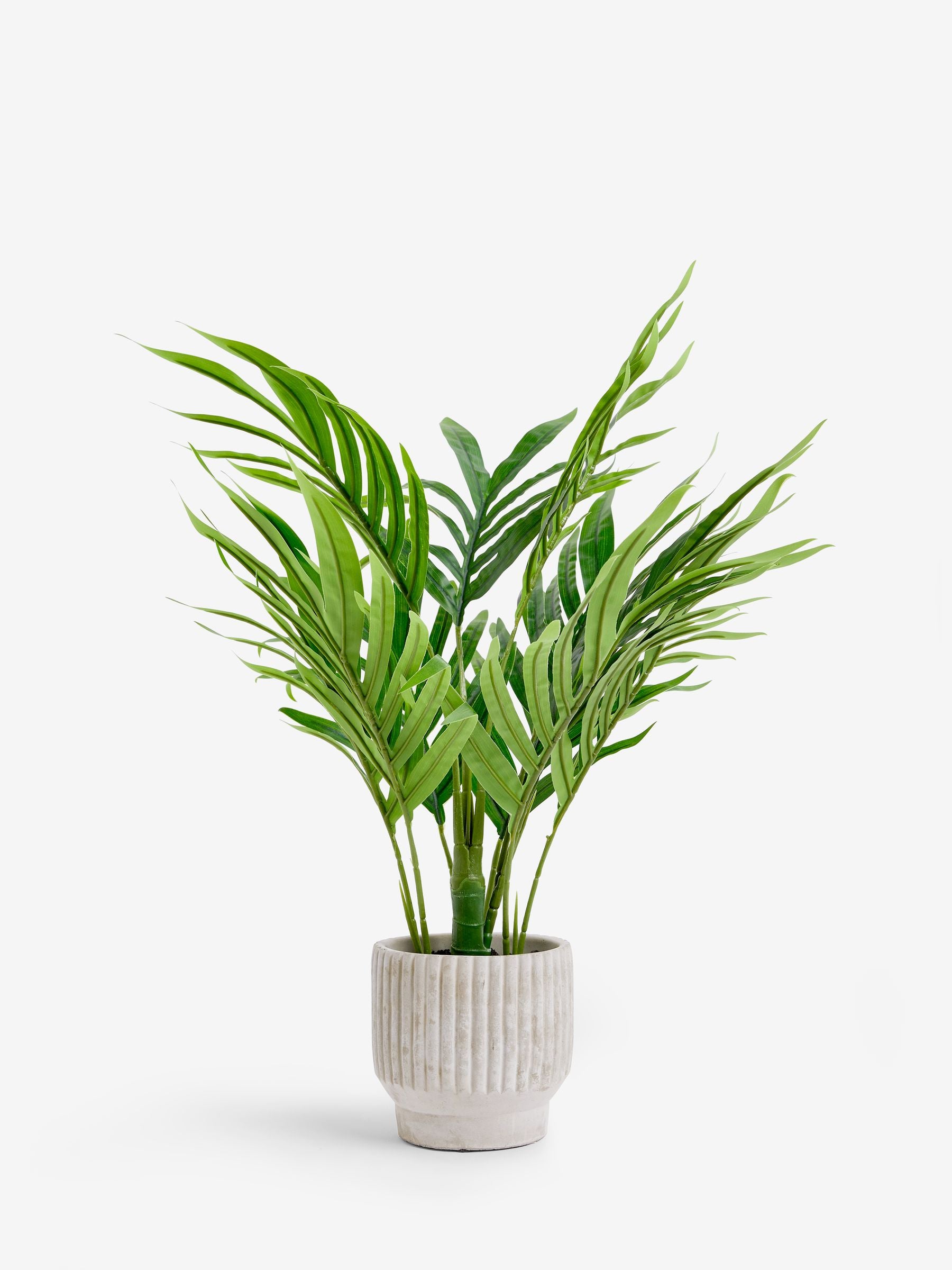 Artificial mini Kentia palm plant in ribbed concrete pot 60cm height, UK version