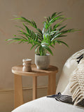 Artificial mini Kentia palm plant in ribbed concrete pot 60cm height, UK version