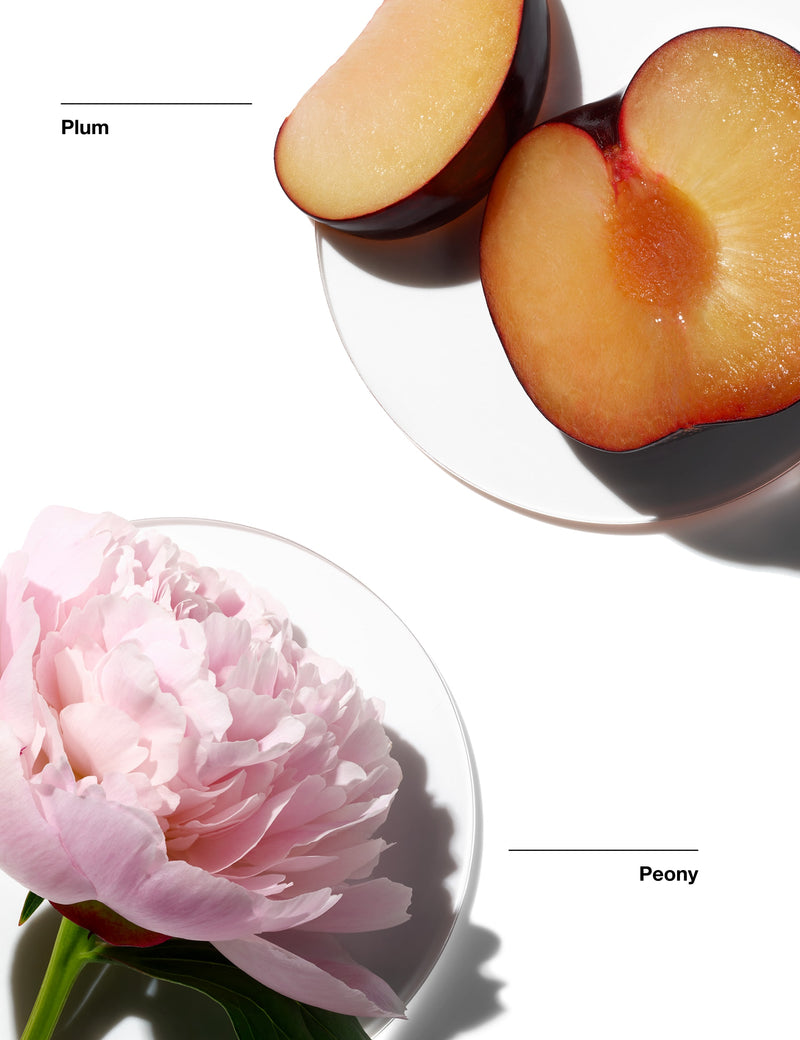 Clinique peony picnic fragrance mist spray 15ml - British product