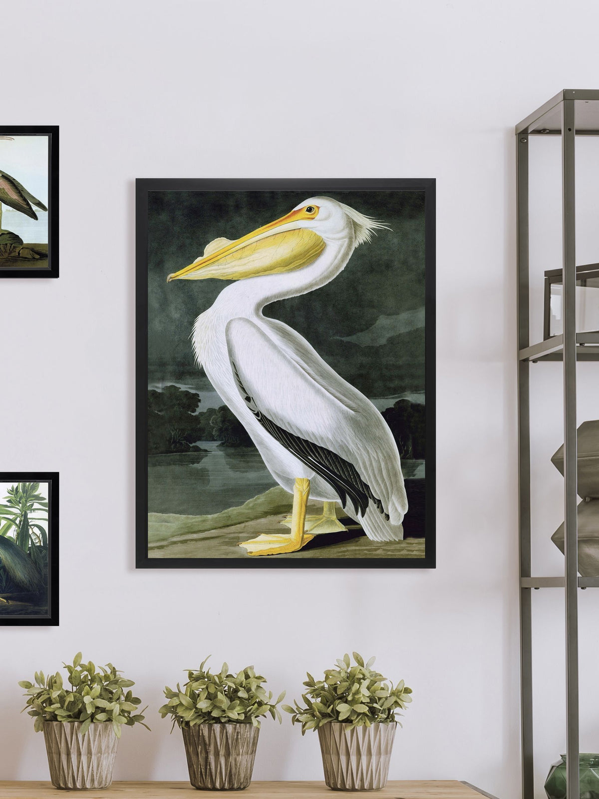 Brookpace Lascelles White Pelican Framed Wall Art
