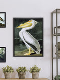 Brookpace Lascelles White Pelican Framed Wall Art