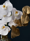 White real touch artificial orchid in gold lustre vase 30cm height (British brand)