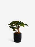 Green Artificial Light Up Alocasia Large Plant