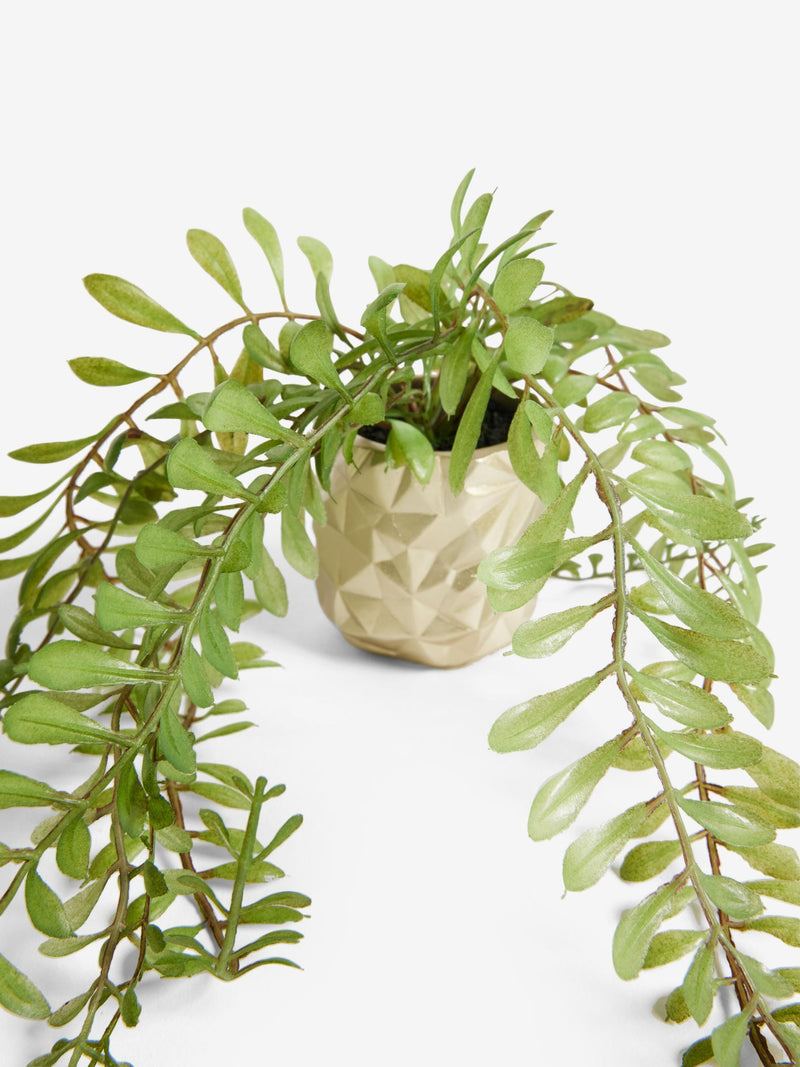 Green Artificial Trailing Plants In Mini Gold Hex Pots