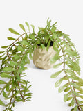 Green Artificial Trailing Plants In Mini Gold Hex Pots