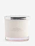 Mango and Papaya scented candle - British product