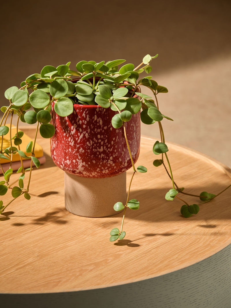 MADE.COM Terracotta and White Santiago Hand Splatter Small plant pot, imported from the UK