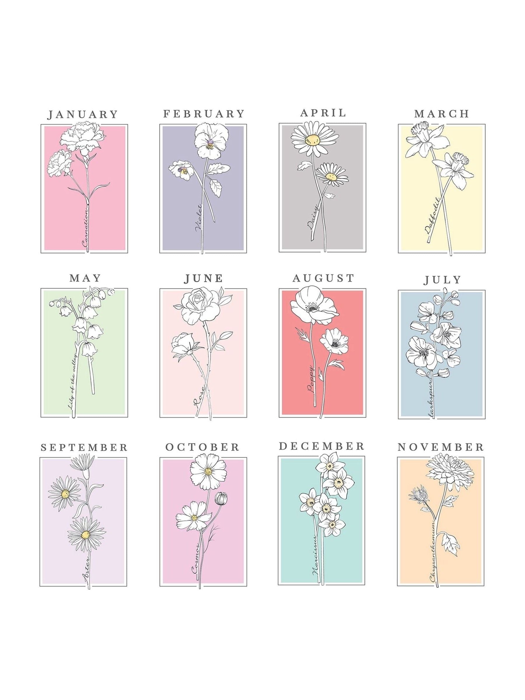 PMC birth flower A4 framed print, imported from the UK