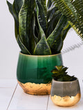 Oliver Bonas Green/Gold Palmer Foil Plant Large Pot