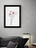 East End Prints Black Gerbera Daisy framed art print - British product