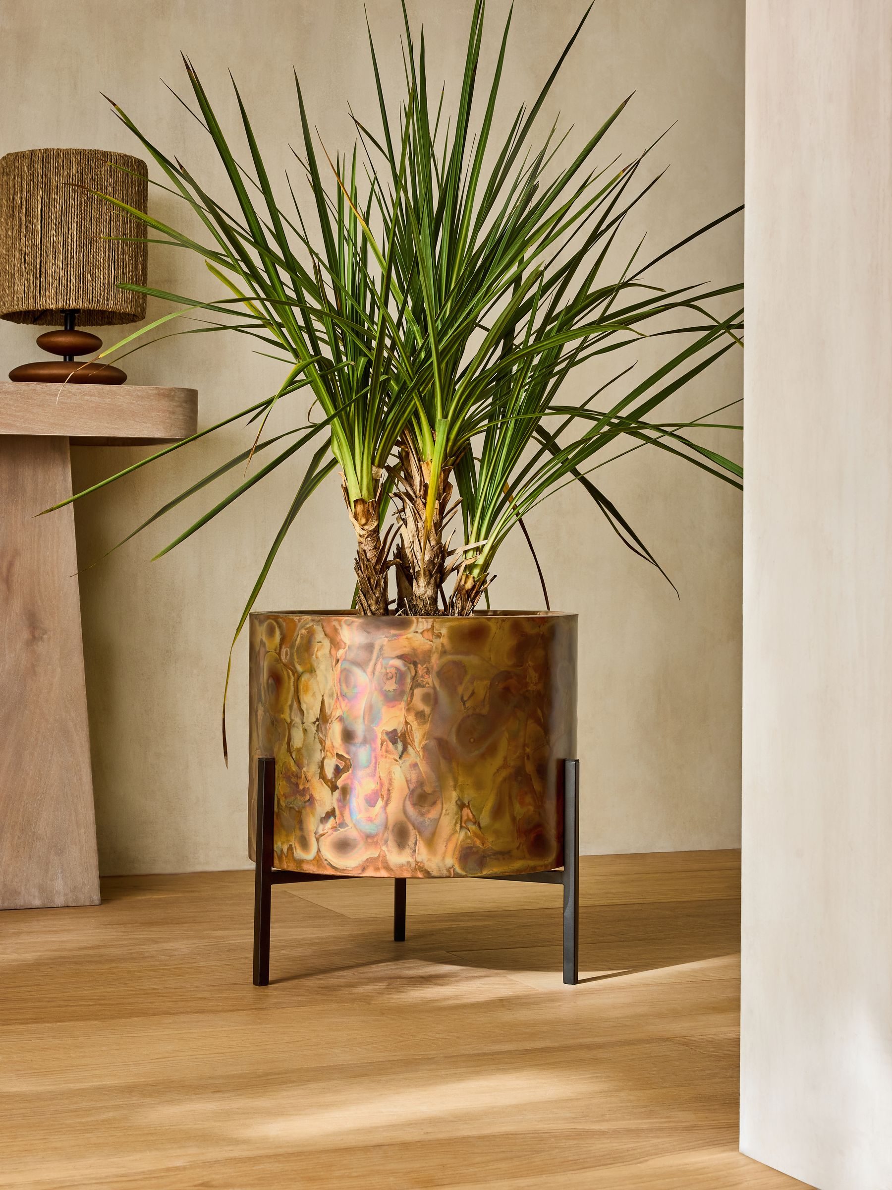 French Connection metal stand plant pot with black/bronze patina - British product