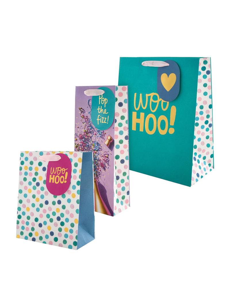 Hallmark Multi 3 Celebratory Designs Gift Bags Set of 3