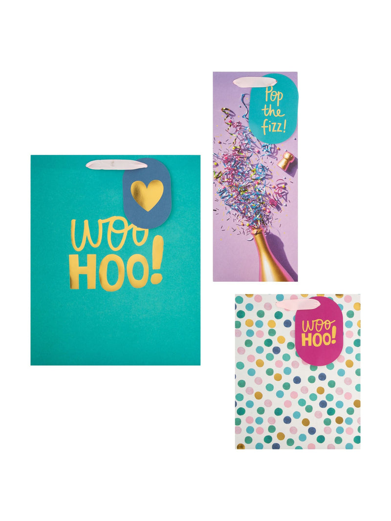 Hallmark Multi 3 Celebratory Designs Gift Bags Set of 3