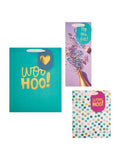 Hallmark Multi 3 Celebratory Designs Gift Bags Set of 3