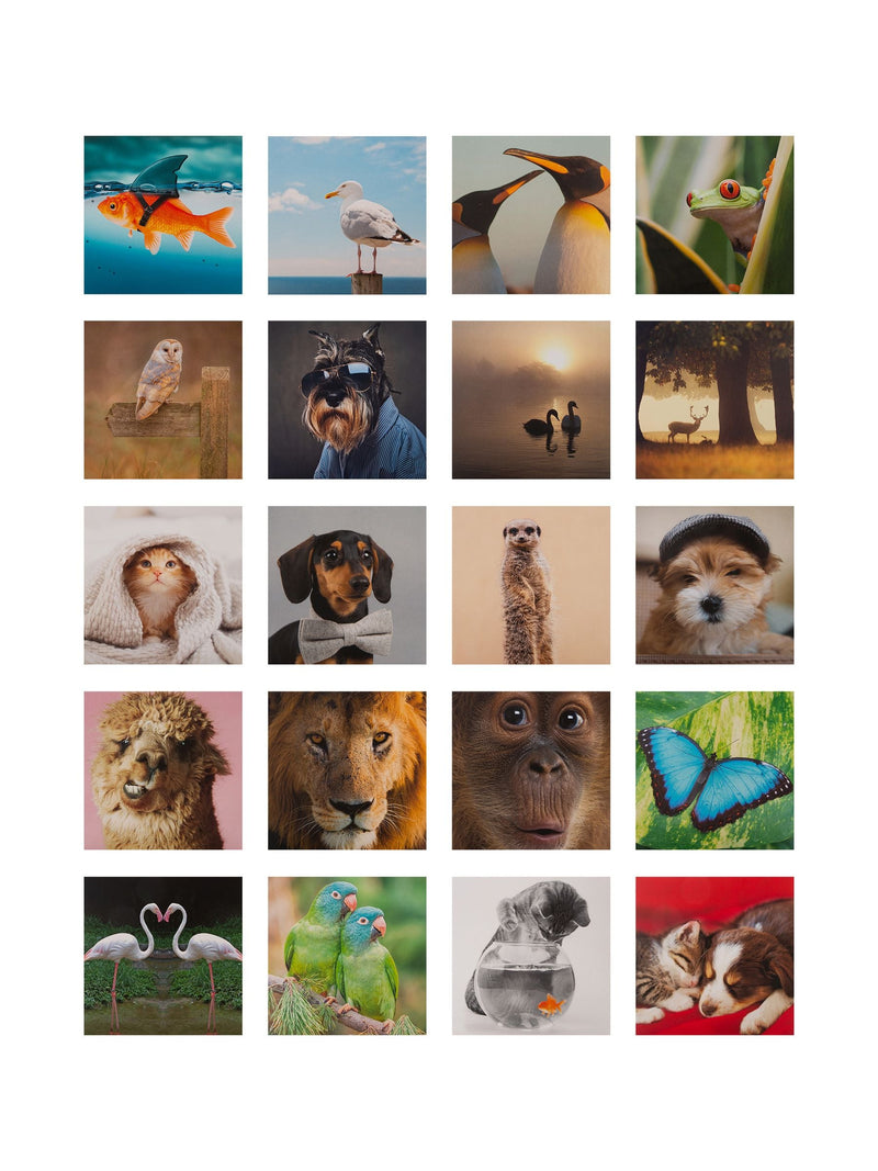 Hallmark 20 Pack Multi Cute Animal Design Blank Cards